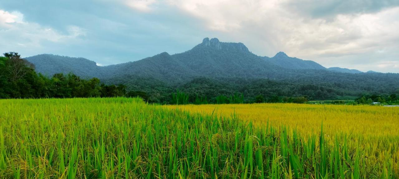 Pimpisa Garden Villa Khuang Kom Exteriör bild